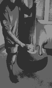 Felipe playing upright bass